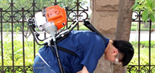 怎样才能知道家里有白蚁