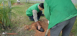 白蚁防治有哪些措施和方法？